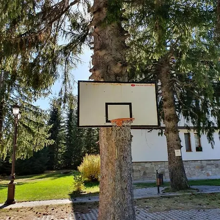 Aparthotel вю, флора, комплекс маунтин