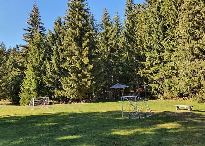 вю, флора, комплекс маунтин 4*