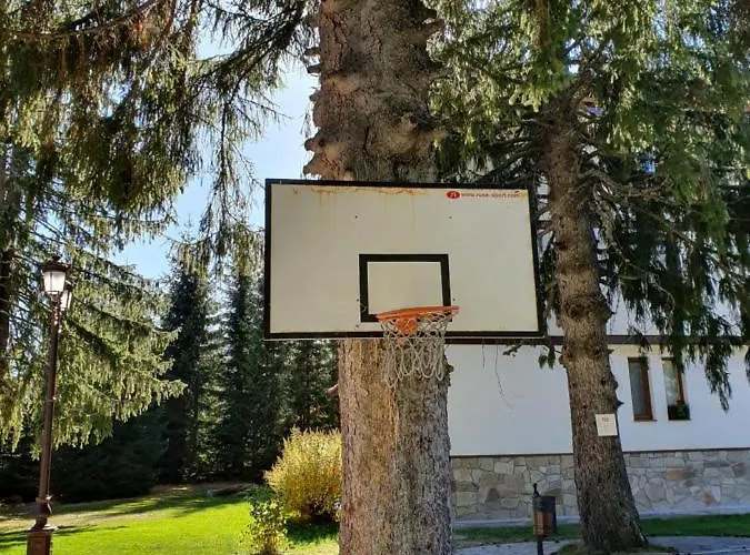 Lägenhetshotell вю, флора, комплекс маунтин